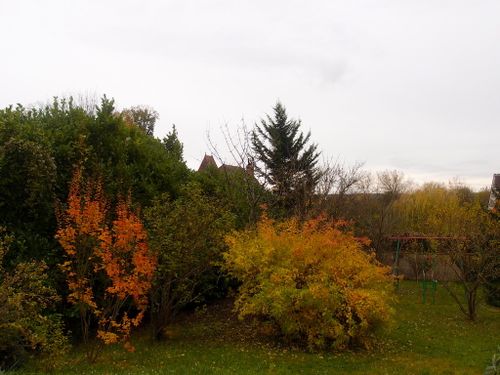 jardin-automne