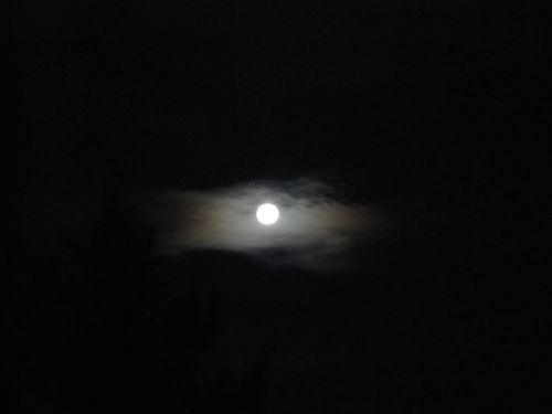 pleine-lune-full-moon