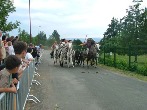 feria-vielle-brioude-30.06.07-1.07.07-059.jpg
