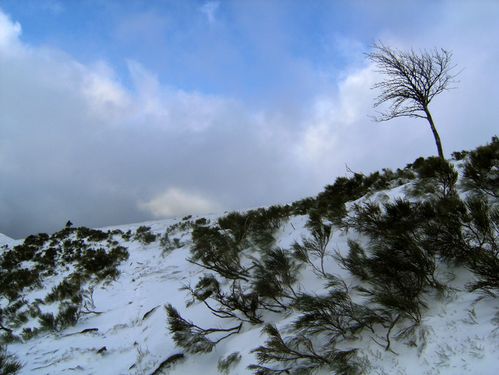 Cantal2010-5