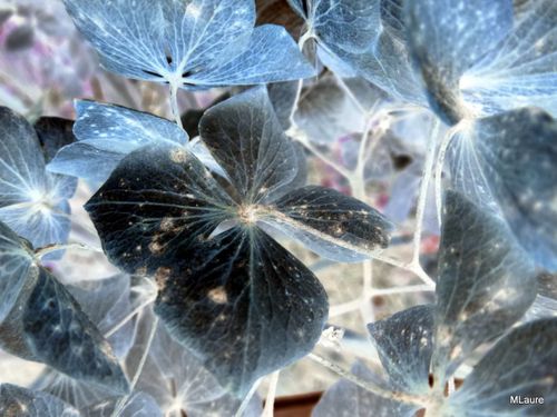 2012-01-05-DeMaFenetre (11)-006