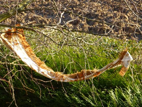 2013-01-19-DeMaFenetre #3 (1)
