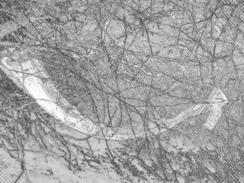 2013-01-19-DeMaFenetre #3 (8)