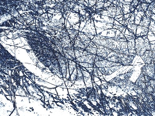 2013-01-19-DeMaFenetre #3 (9)