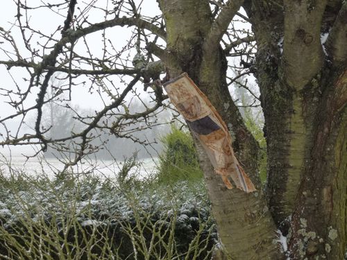 2013-01-26-DeMaFenetre#4 (1)
