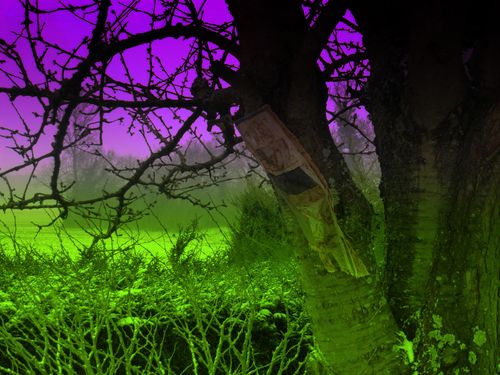 2013-01-26-DeMaFenetre#4 (2)