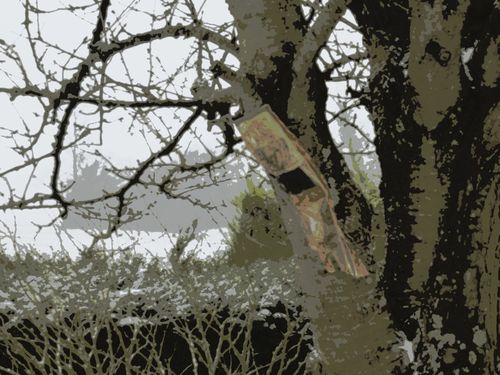 2013-01-26-DeMaFenetre#4 (3)