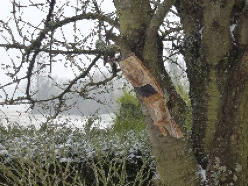 2013-01-26-DeMaFenetre#4 (7)