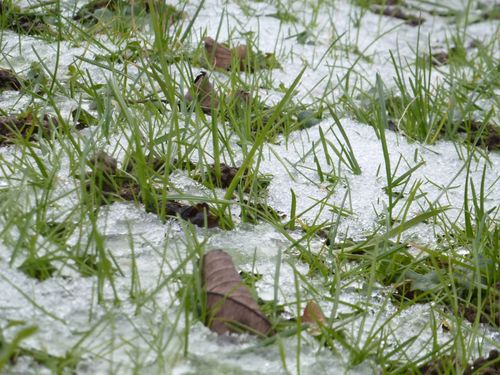 2013-02-02-DeMaFenetre#5(1)