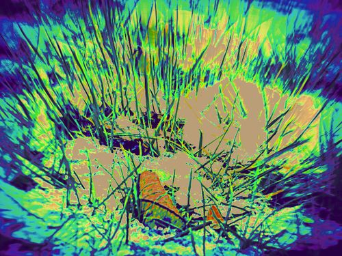 2013-02-02-DeMaFenetre#5(5)