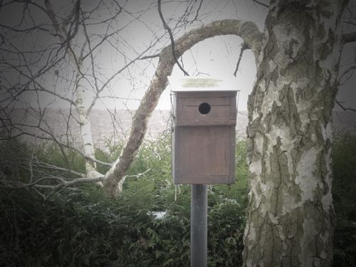 2013-02-09-DeMaFenetre#6 (2)