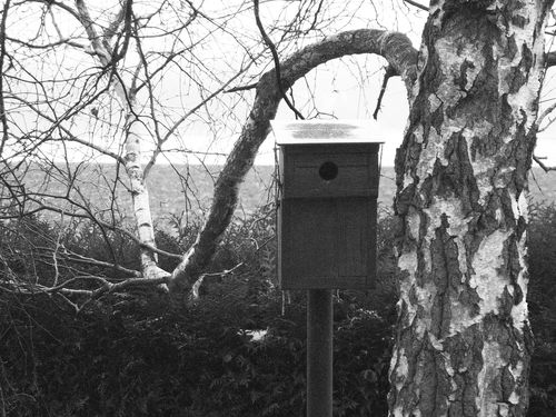 2013-02-09-DeMaFenetre#6 (4)