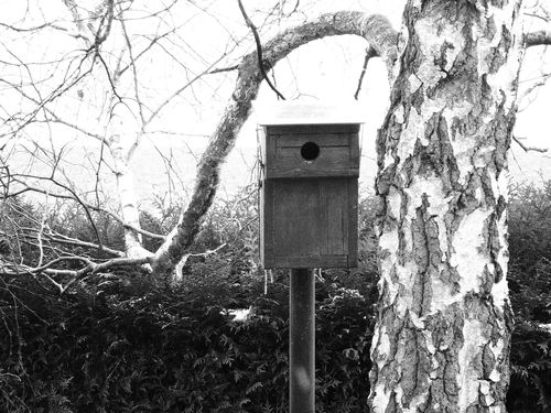 2013-02-09-DeMaFenetre#6 (5)
