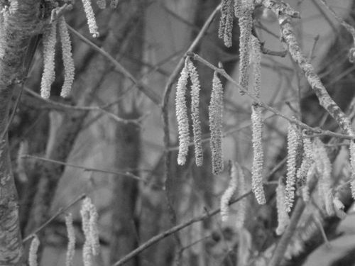 2013-02-16-DeMaFenetre#7 (3)