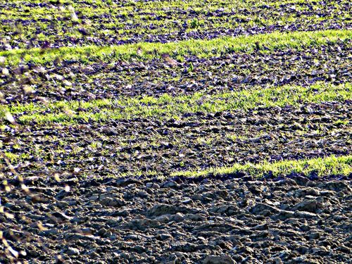 2013-02-23-DeMaFenetre#8 (2)