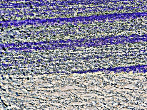 2013-02-23-DeMaFenetre#8 (3)