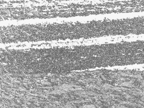 2013-02-23-DeMaFenetre#8 (6)