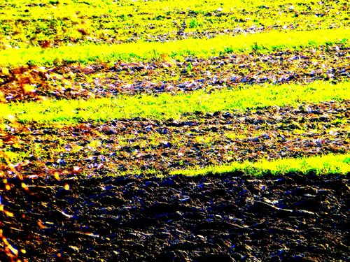 2013-02-23-DeMaFenetre#8 (7)