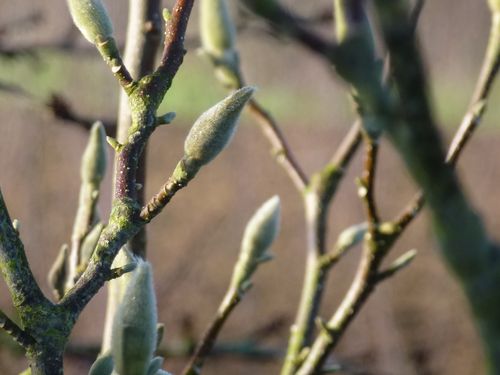 2013-03-09-DeMaFenetre#10 (1)