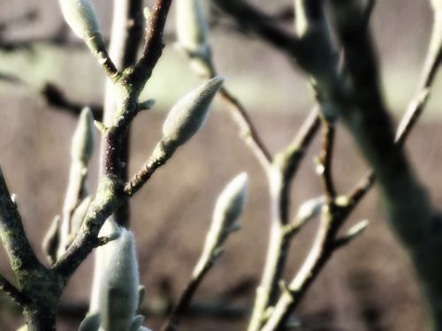 2013-03-09-DeMaFenetre#10 (8)