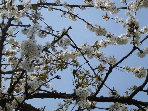2013-05-04-DeMaFenetre#18 (1)