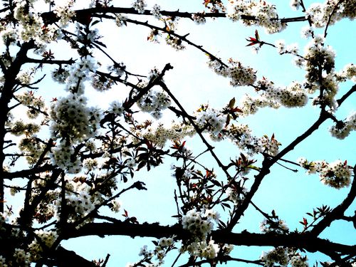 2013-05-04-DeMaFenetre#18 (2)