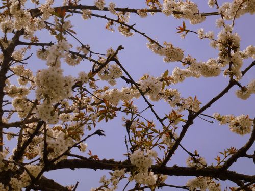 2013-05-04-DeMaFenetre#18 (3)
