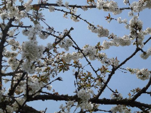 2013-05-04-DeMaFenetre#18 (5)