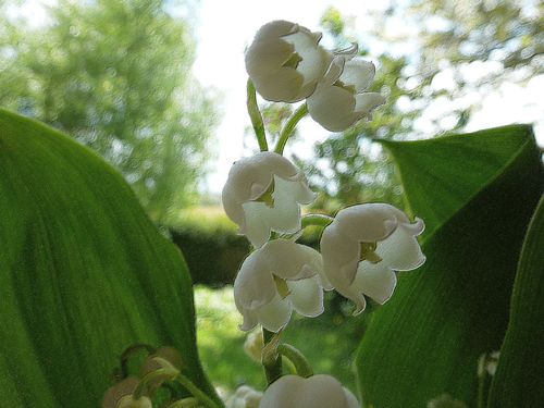 2013-05-11-DeMaFenetre#19 (7)