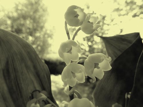2013-05-11-DeMaFenetre#19 (8)