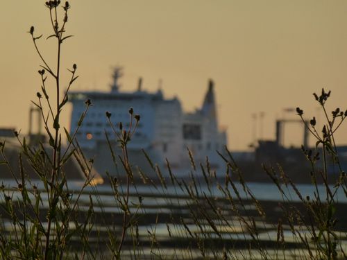 2012-07-23-Pointe du siège (13)