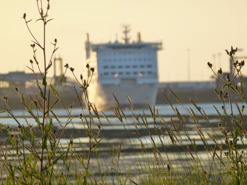 2012-07-23-Pointe du siège (14)
