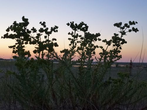 2012-07-23-Pointe du siège (76)