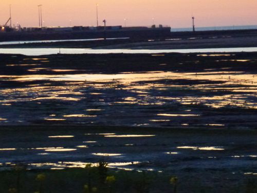 2012-07-23-Pointe du siège (86)