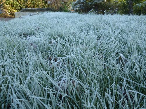 2012-12-12-Givre (1)