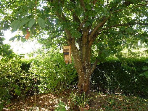 2012-09-01-PetiTRouille (1)