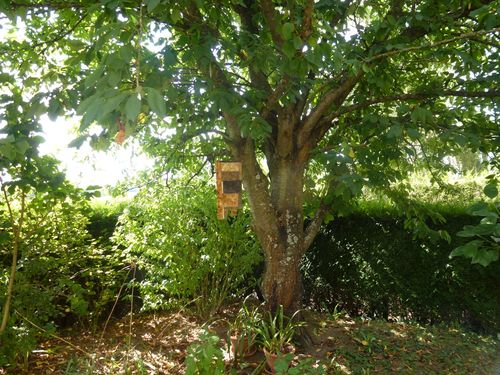 2012-09-01-PetiTRouille (2)