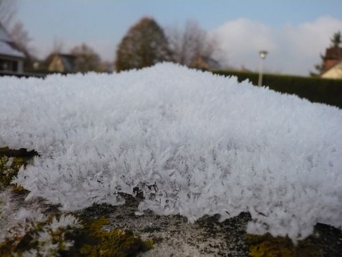 2010-11-30-fleurs de glace (5)