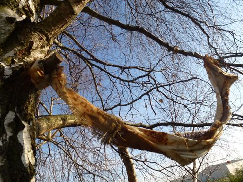 2012-12-12-Out-Rouilles (3)
