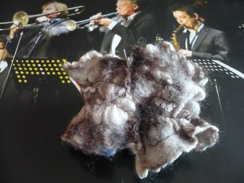 2011-07-18-gris-O-bras (2)