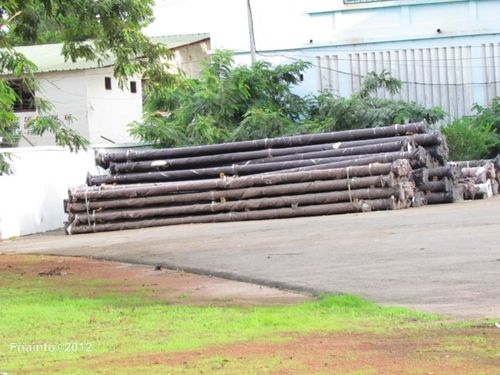 Eclairage-public---Le-materiel-dans-la-cour-de-la-copie-1.JPG