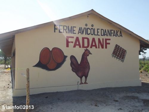 ferm1.JPG
