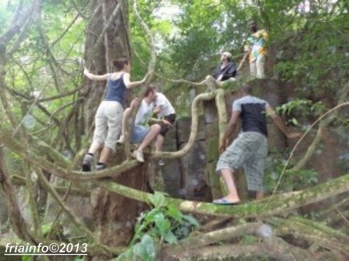Les-chutes-de-Gbogoro--4-.JPG
