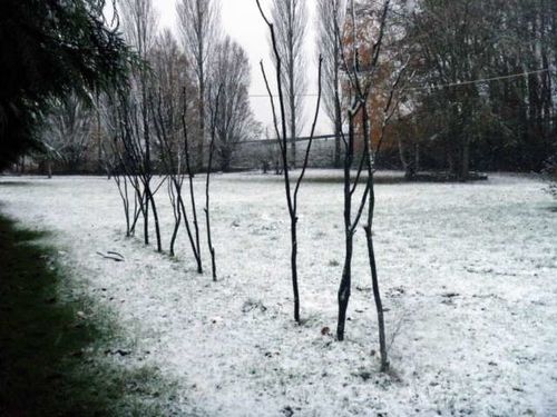 28 nov 2010 (8) [640x480]