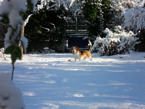 neige-2.JPG
