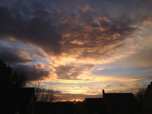 photo(7)