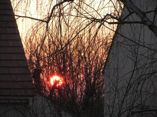 A--PHOTO 9591