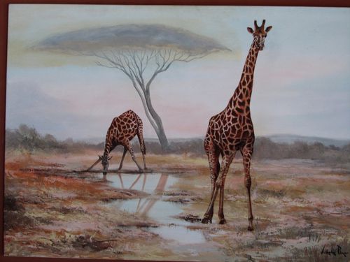 ivory-tree-hotel 6619