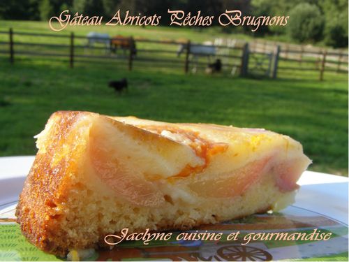 Gâteau moelleux aux abricots pêches brugnons Jaclyne cuisine et gourmandise