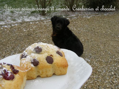 Petits gâteaux carrés, saveurs orange et amande. Cranberries et chocolat Barry Jaclyne cuisine et gourmandise